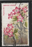 [Flowers, typ IN]