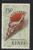 [Seashells, тып AT]