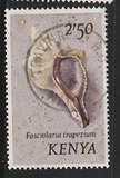 [Seashells, тып AU]