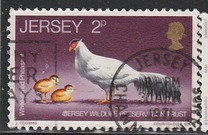 [Jersey Wildlife Preservation Trust, type J]