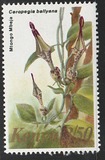 [Flora - Tipografia: Harrison & Sons Ltd., Scrivi IP]