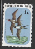 [Birds, type ZO]
