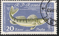 [Fish, tip BTQ]