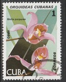 [Orchids, tip DAS]