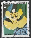 [Orchids, tip DAT]