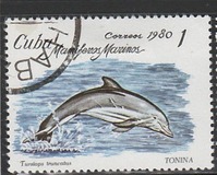 [Marine Mammals, type DAY]