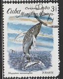 [Marine Mammals, type DAZ]