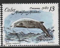 [Marine Mammals, type DBA]