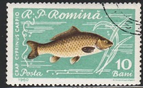 [Fish, tip BTP]