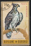 [Airmail - Birds, タイプ DM]
