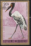 [Birds, Tipi DC]