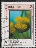 [The 5th Latin American Botanical Congress, 類型 ETC]