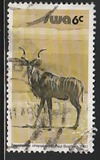 [Wild Mammals, tip HN]