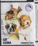 [Cats and Dogs, type GLC]