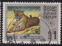 [Wildlife, type GE]