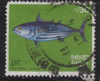[Fish, տեսակ F]