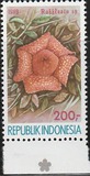 [Flowers, type AWX]
