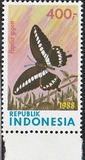 [Butterflies, type AWU]