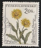 [Flowers, type ZE]