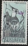 [Water Birds, type ZA]