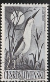 [Water Birds, type YY]