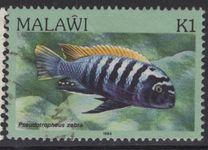 [Fish, Вид MR]