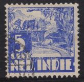 [Rice Field & Queen Wilhelmina - Watermarked, Tip AI14]