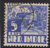 [Rice Field & Queen Wilhelmina - Watermarked, Tip AI14]