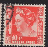 [Rice Field & Queen Wilhelmina - Watermarked, Tip AC11]