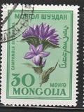 [Flowers, Вид EP]