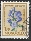 [Flowers, Вид EN]