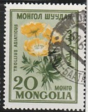 [Flowers, Вид EO]