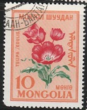 [Flowers, Вид EM]