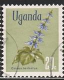 [Flowers, type AT]