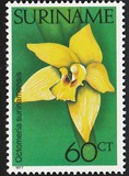 [Surinam Orchids, loại AHR]