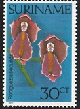 [Surinam Orchids, loại AHO]