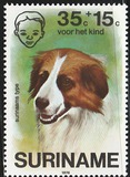 [Child Welfare - Pet Dogs, type AHG]