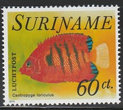 [Fish, type AGU]