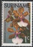[Surinam Orchids, 유형 AGC]