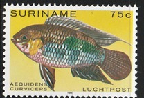 [Airmail - Tropical Fish, type ANT]