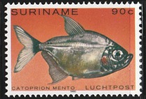 [Airmail - Tropical Fish, type ANU]