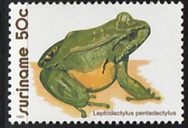 [Frogs, type APA]