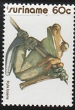[Frogs, type APB]