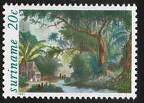 [Illustrations to "Journey to Surinam" by P. I. Benoit, type API]