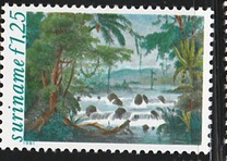 [Illustrations to "Journey to Surinam" by P. I. Benoit, type APM]