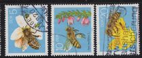 [Honey Bees, Tipe DFR]