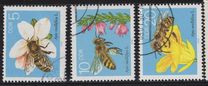 [Honey Bees, Tipe DFR]