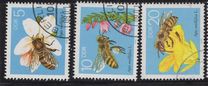 [Honey Bees, Tipe DFR]