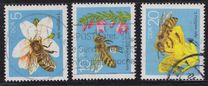 [Honey Bees, Tipe DFR]