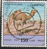 [Dromedaries, 类型 AAX2]